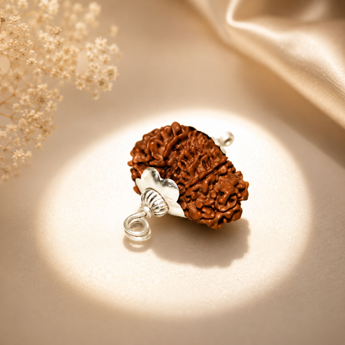 14 Mukhi Nepali Lab Certified Rudraksha