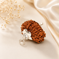 14 Mukhi Nepali Lab Certified Rudraksha