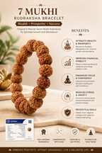 7 Mukhi Rudraksha Bracelet for Wealth & Prosperity | Original Natural Seven Face Rudraksha Mala | Energized Spiritual Bracelet for Men & Women (Adjustable)